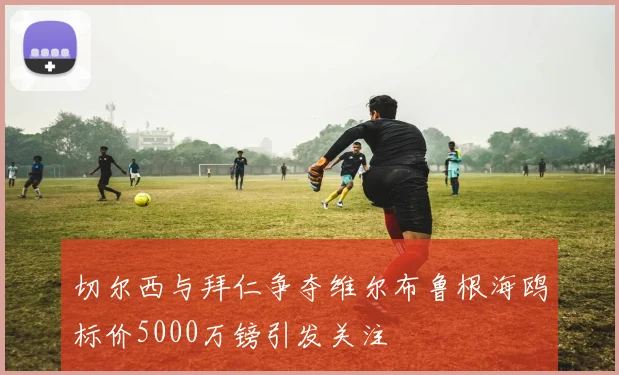 切尔西与拜仁争夺维尔布鲁根海鸥标价5000万镑引发关注