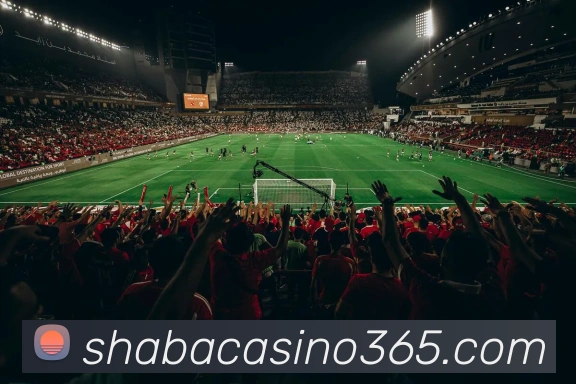 沙巴真人娱乐平台生态图